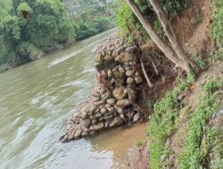 Kualitas Pembangunan Bronjong habiskan ratusan juta  di Desa Pasenan Dipertanyaan