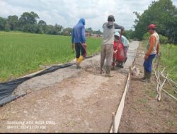 Pembangunan Rabat Beton Didesa Suka Maju Tipis Tengah