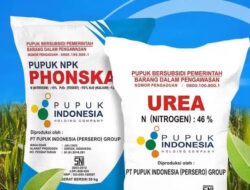 Penjualan Pupuk Bersubsidi di Atas HET di Kabupaten Musi Rawas Kini Menjadi Sorotan Terhangat 