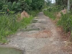 Warga Keluhkan Jalan Penghubung Antar Desa di Rejang Lebong