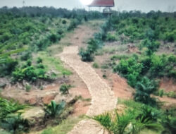 Proyek Jalan Usaha Tani di Musi Rawas Diduga Bermasalah, Aktivis Soroti Aroma Nepotisme & Korupsi
