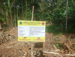 Proyek Rekonstruksi Jembatan di Dusun 3 Trans Taktoi Dipertanyakan Kualitas Fisiknya