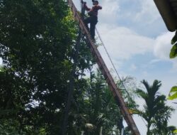 Lampu Jalan di Gang Merpati Sudah Diperbaiki, Warga Ucapkan Terima Kasih kepada Pemerintah Kota Lubuklinggau