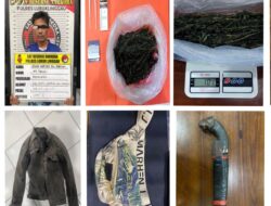 Satresnarkoba Polres Lubuk Linggau Tangkap Pengedar Ganja Asal Bengkulu, Amankan Barang Bukti 101 Gram