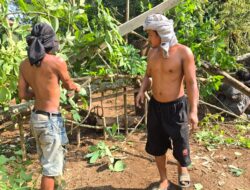 Skandal Penghambatan Pembangunan jalan Di Batu Urip ! Warga Geram ,Oknum ASN Diduga Mortal Jalan Demi Kepentingan Pribadi
