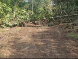Pembangunan jalan Keluarahan batu Urip Terhambat Diduga Belum Ada kejelasan Pemerintah Kemana ? 