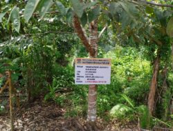 Proyek Drainase di Air Kati Lubuklinggau Senilai Ratusan Juta Rupiah Disorot, Diduga Ada Kejanggalan Mutu dan Volume