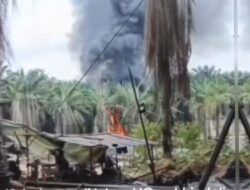 Diduga Menjadi Otak Illegal Drilling, POSE RI Akan Laporkan PT Hindoli Cargill Indonesia