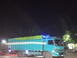 Aktivis: Truk Batu Bara PT LDP ‘Buldozer Legal’ Rusak Infrastruktur Muba