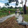 Proyek Jalan di Lubuk Tanjung Diduga “Siluman”, Pohon Durian hingga Rumput Ikut Tertimbun Cor