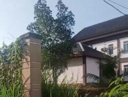 Dugaan Keras Gratifikasi dalam Swakelola Rutin Pemkab Musi Rawas: Halaman Belakang Bak Hutan Belantara!