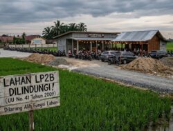 Sawah Dilindungi “Dihajar” Beton: Komitmen Pemkab Musi Rawas Terhadap LP2B Dipertanyakan!