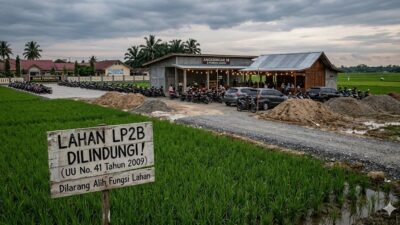 Sawah Dilindungi “Dihajar” Beton: Komitmen Pemkab Musi Rawas Terhadap LP2B Dipertanyakan!
