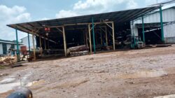 Izin Operasional Pabrik Triplek di Lubuklinggau Selatan I Jadi Tanda Tanya, Manajemen Terkesan “Lempar Bola