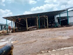 Izin Operasional Pabrik Triplek di Lubuklinggau Selatan I Jadi Tanda Tanya, Manajemen Terkesan “Lempar Bola