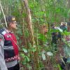 Atasi Teror Beruang Madu di Sukakarya, Aparat Gabungan Sisir Kebun Warga dan Siapkan Perangkap