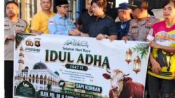 Wujud Kepedulian Idul Adha 1447 H, Kapolda Sumsel Serahkan Sapi Kurban 1,1 Ton untuk Warga Lubuklinggau