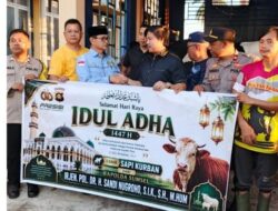 Wujud Kepedulian Idul Adha 1447 H, Kapolda Sumsel Serahkan Sapi Kurban 1,1 Ton untuk Warga Lubuklinggau