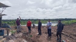 Diduga Tabrak Aturan, PT Evan Lestari Sulap Lahan Sawah Produktif Menjadi Perkebunan Sawit