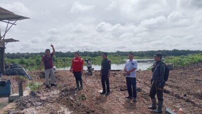 Diduga Tabrak Aturan, PT Evan Lestari Sulap Lahan Sawah Produktif Menjadi Perkebunan Sawit