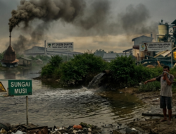 Diduga Aliri Sungai Musi dan Tebarkan Bau Menyengat, Limbah 2 Perusahaan Sawit di Muara Lakitan Dikeluhkan Warga