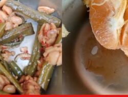 Lema Pengawasan Dapur Penyedia Makanan, Menu Program Makan Bergizi di Musi Rawas Viral Berulat dan Cacing