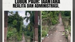 Nyawa Warga Menanti Ajal di Jembatan Lapuk Lubuk Pauh: Anggaran Rp500 Juta Menguap, Penderitaan Rakyat Tak Bertepi