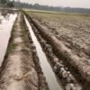 Dugaan Penyimpangan Proyek Irigasi di Desa Sumbersari: Pemasangan Batu Menguncup, Transparansi Nihil