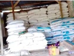 Praktik Dugaan Permainan Harga Pupuk Subsidi ” Petani Jaya Tunggal Menangis ” Harga di Atas HET