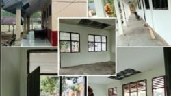 “Mendahului” CCO: Dalih Kayu Lebih Kuat Dibanding Baja Ringan